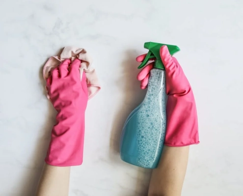 Drucksprühgerät und Pinke Handschuhe