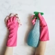 Drucksprühgerät und Pinke Handschuhe