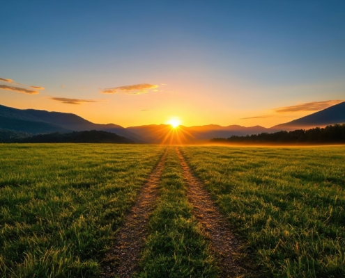Sonnenaufgang über grünes Feld mit Fahrspuren, Symbolbild für Landwirtschaft und Technik wie hydraulischer Oberlenker